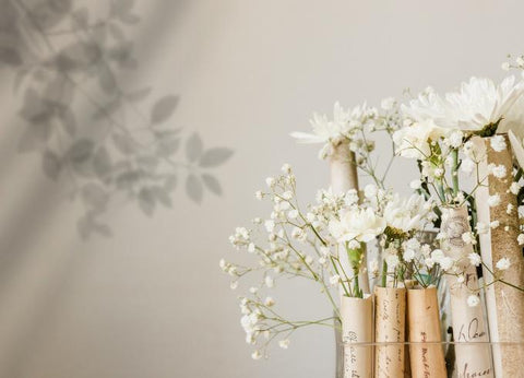 🪞 Neutral Aesthetic 🪞 GIFT + SHOP GUIDE - Espionage Cosmetics