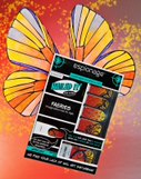 Faeries ✦ Nail Wrap ✦ 14-tip Set