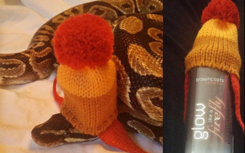 Customers Make Our Dreams Come True #1: Snake In A Hat