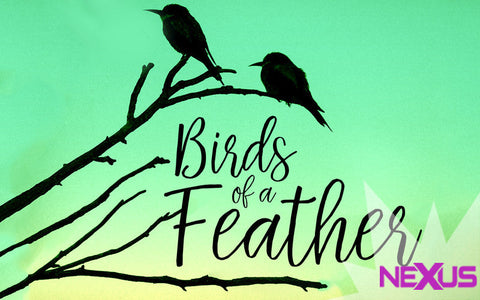 ✪ ARCHIVE ✪  Mo Birds of a Feather Round of Nexus: Nerd Manicure Roundup!