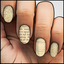 Federalist Papers ✦ Nail Wrap ✦ 14-tip Set