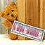 Heart of Serenity ✦ Nail Wrap ✦ 22-tip Set
