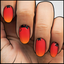 🔖 🔖  Peek-a-Boo Cats ✦ Nail Wrap ✦ 22-tip Set